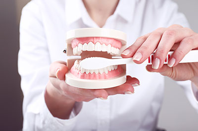 The image shows a person holding a dental model with an open mouth, demonstrating a set of artificial teeth.